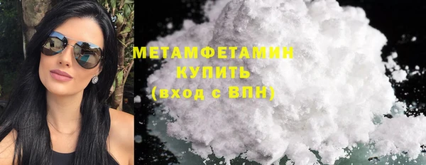 гидра Елизово