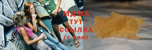 гидра Елизово