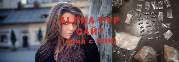 крисы Ельня