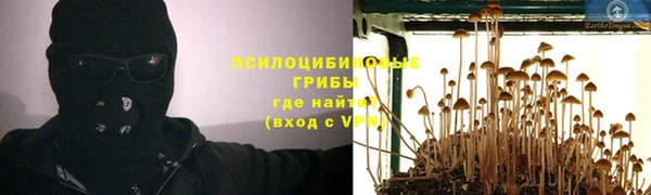 гидра Дмитровск