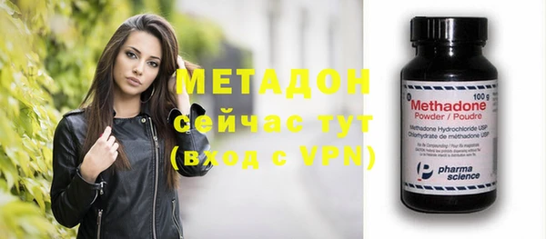 гидра Елизово