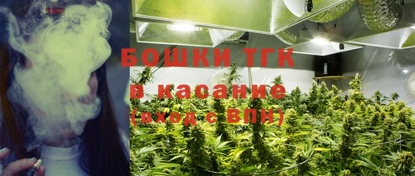 гидра Елизово