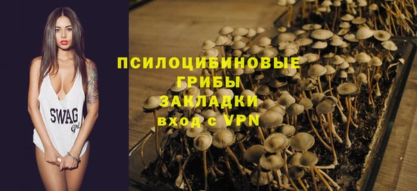 крисы Ельня