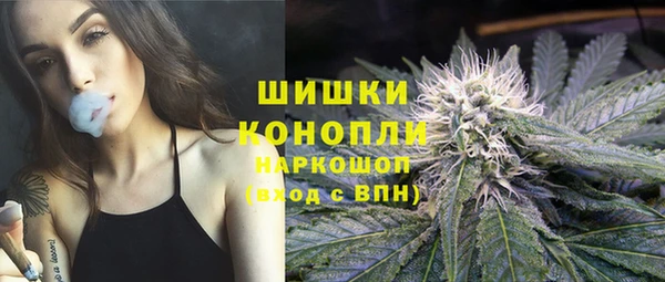 стаф Шали