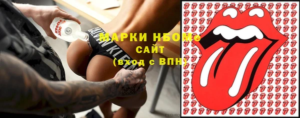 крисы Ельня