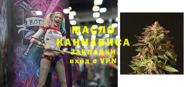 крисы Ельня