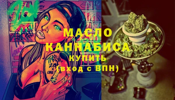 гидра Елизово