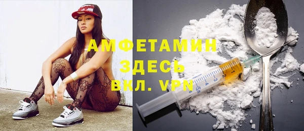 гидра Елизово