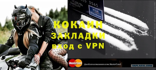 гидра Елизово