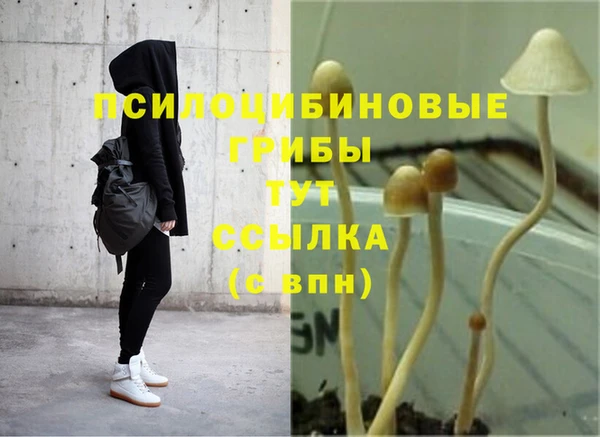 прущая мука Елабуга