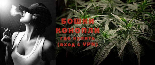 гидра Елизово