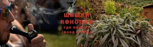 крисы Ельня