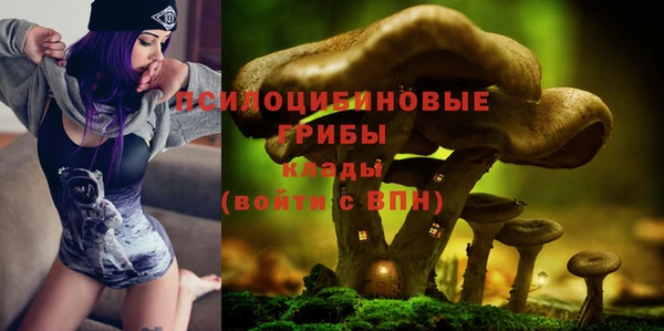 крисы Ельня