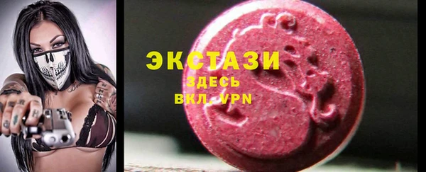 крисы Ельня