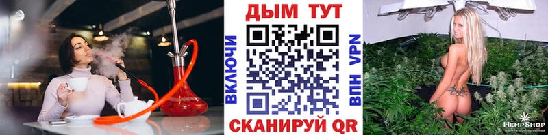 Канабис конопля Пересвет